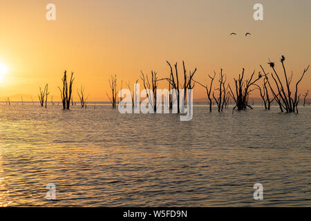 Sunset over the Lake Stock Photo