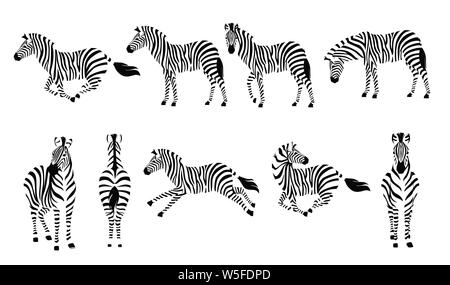 Set of african zebra side and front view outline striped silhouette animal design flat vector illustration isolated on white background. Stock Vector