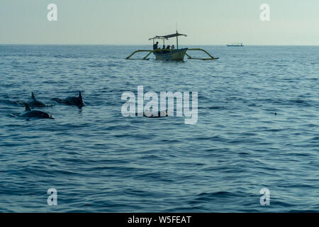 Sunrise view over tourists waiting for wild dolphin at Lovina beach in Bali, Indonesia. Stock Photo