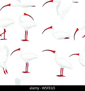 Seamless pattern of american white ibis flat vector illustration cartoon animal design white bird with red beak on white background side view. Stock Vector