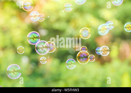 soap bubbles on green nature background Stock Photo