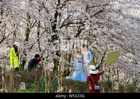 Tourists enjoy the scenery of cherry blossoms in full bloom at a flower farm in Qingzhen city, Guiyang city, southwest China's Guizhou province, 19 Ma Stock Photo