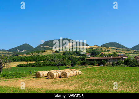Rural landscape along the road from Godiasco to Varzi, in the Oltrepo Pavese, at late spring Stock Photo