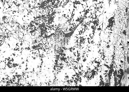 Grunge cracked paint contrast black and white texture background. Ttemplate for overlay artwork. Stock Photo