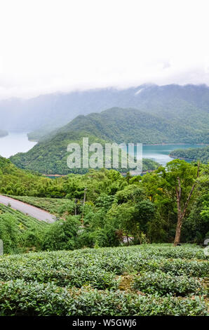 Vertical photography of magnificent Thousand Island Lake in Taiwan, Asia. The lake is surrounded by tea plantation and tropical rainforest. Misty landscape. Taiwan nature. Oolong tea plantations. Stock Photo