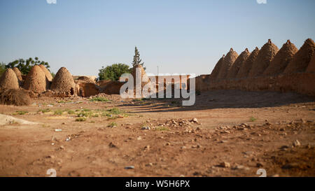 Harran Houses Sanliurfa Turkey Early Bronze Age. Pictures of the beehive adobe buildings of the cultural centre Harran, south west Anatolia, Turkey. Stock Photo