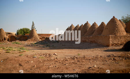 Harran Houses Sanliurfa Turkey Early Bronze Age. Pictures of the beehive adobe buildings of the cultural centre Harran, south west Anatolia, Turkey. Stock Photo