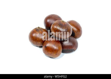 Roasted horse chestnuts isolated on white background. Stock Photo