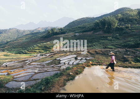 Sapa, Vietnam - May 2019: woman from Hmong ethnic group in traditional dress walking on the rice terrace in Lao Cai province Stock Photo