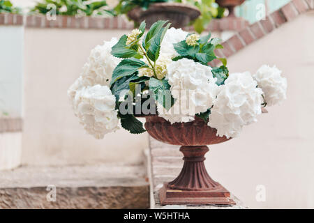 A white blooming hydrangea in a marble flowerpot adorns the railing of the stairs in a country house, selective focus Stock Photo