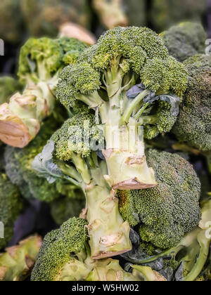 Fresh Broccoli in a pile at supermarket, Healthy Fresh Green raw Broccoli. background, texture. Stock Photo