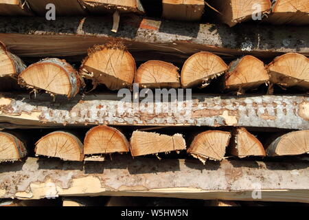 split dry firewood Stock Photo