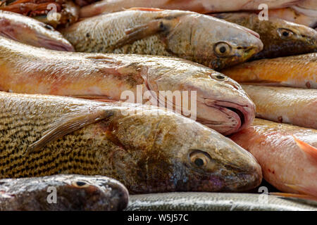 Fresh and freshly caught fish for sale at a fishing colony on Copacabana Beach in Rio de Janeiro Stock Photo