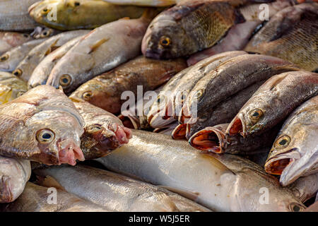 Fresh and freshly caught fish for sale at a fishing colony on Copacabana Beach in Rio de Janeiro Stock Photo