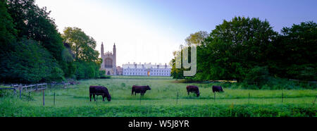 Cambridge, UK - June 9, 2019:  Summer morning golden hour light on King's College across the lawns and meadows of the Backs, Cambridge, UK Stock Photo