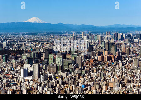 Mt. Fuji Tokyo Skyline Japan Cityscape Stock Photo