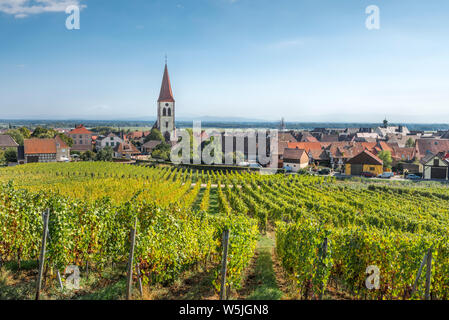 panorama of the village Ammerschwihr, Alsace, Wine Route, France, view from the vineyard above Stock Photo