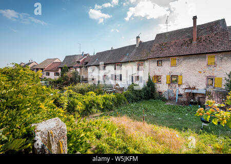 at the moat of the medieval village Bergheim, Alsace Wine Route, France, closed row of houses behind the town wall Stock Photo