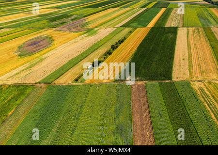 Aerial view of cultivated agricultural fields in summer, beautiful countryside patchwork landscape from drone pov Stock Photo