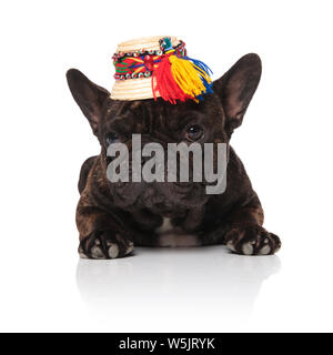 lovely french bulldog with straw hat looks down to side while lying on white background Stock Photo