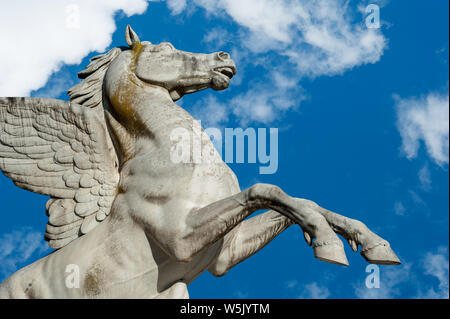 Florence,  ITALY - July 18, 2017: Pegasus statue, by Aristodemo Costoli (1865). It is located in the Boboli Garden. Stock Photo