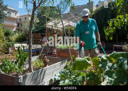 Farmer Man Watering Vegetable in wooden box. Urban organic horticulture. Stock Photo