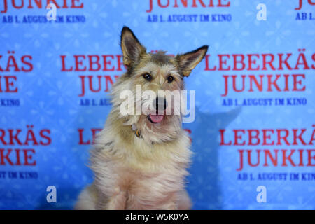 Munich, Germany. 29th July, 2019. The film dog Joker is at the premiere of the film LEBERKÄSJUNKIE at the Mathäser Filmpalast on the Red Carpet. On August 1, another film version of a Rita Falk bestseller will be released in cinemas. Credit: Felix Hörhager/dpa/Alamy Live News Stock Photo