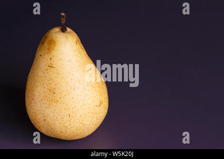 Whole yellow pear williams on purple background Stock Photo