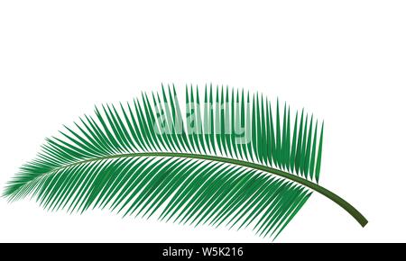 Vector illustration of palm tree leaf Stock Vector