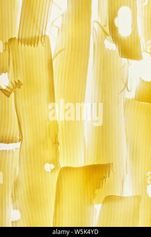 Transparent thin slices of cheese on a white background. Stock Photo