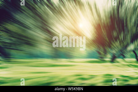 Summer park long exposure motion blur Stock Photo