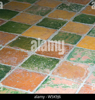 Victorian floor tiles in various colours shot for use as a background Stock Photo