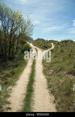 A path leading through dunes on the Cornish coast separates into two different directions. Stock Photo