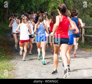 High school girls cross country race taken from behind running down a dirt path covered by trees. Stock Photo