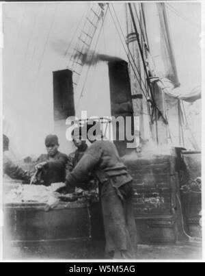 Cutting in a sperm whale. Mincing the ‘blubber‘ ready for the trying out Stock Photo