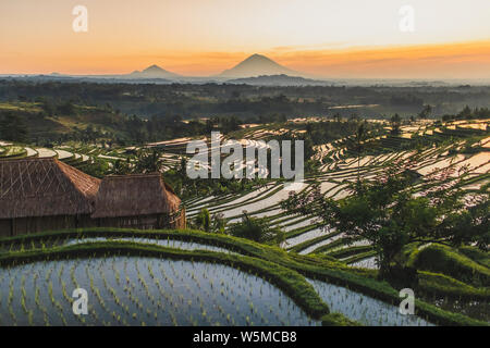 Famous Bali landmark Jatiluwih rice terraces. Beautiful sunrise view of green hills and mount Agung on horizon. Wanderlust concept and nature Stock Photo