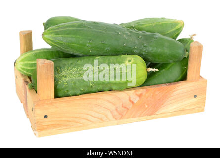 a group organic cucumbers in wooden crate isolated on white Stock Photo