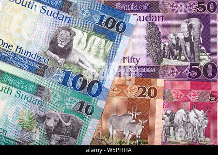 South Sudanese Pounds, a business background Stock Photo