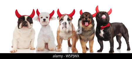 funny group of five dogs wearing red devil horns standing and sitting on white background Stock Photo