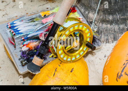 Saltwater fly fishing fly rod and reel Stock Photo - Alamy