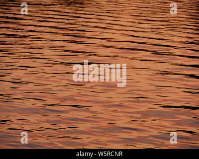 Golden water the sun paints the sea surface in golden color background Stock Photo