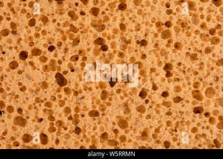 sponge detail texture, sponge texture closeup background, yellow sponge texture Stock Photo
