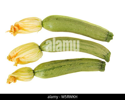 Small Zucchini with flowers isolated on white background. Stock Photo