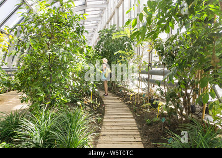 Paris green architecture - a girl standing in a greenhouse surrounding the tennis stadium Simon Mathieu, situated in the Jardin des Serres d'Auteuil. Stock Photo