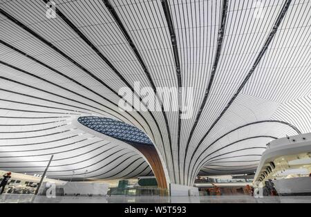 The Beijing Daxing International Airport is illuminated by light projections at night in Beijing, China, 27 June 2019. Beijing Daxing International Ai Stock Photo