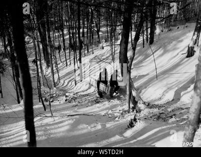 Photograph of Ascending the Steep Hill to the Tip of the Toboggan Slide; Scope and content:  Original caption: Ascent up the steep hill to the tip of the toboggan slide is made a little easier by steps cut into the ground and rope that can be used to help steady the climber. Stock Photo