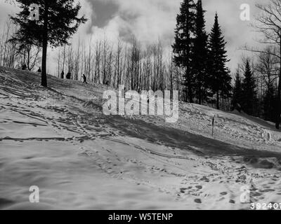 Photograph of Broad View of the Practice Slope; Scope and content:  Original caption: Broad view of the practice slope taken from the base of the hill Anvil Lake Ski Trail. Phelps Ranger District. Stock Photo