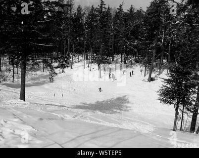 Photograph of Broad View of the Practice Slope; Scope and content:  Original caption: Broad view of the practice slope taken from the top of the hill. Anvil Lake Ski Trail. Phelps Ranger District. Stock Photo