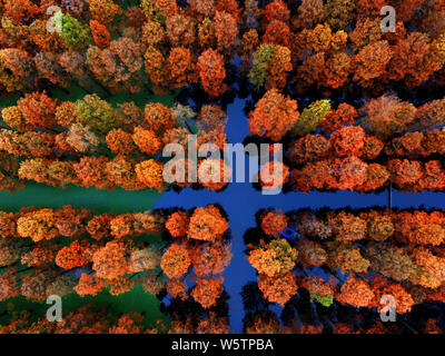 Aerial view of the Zhangdu Lake Wetland in Xinzhou District, Wuhan city, central China's Hubei province, 9 December 2018.   Tens of thousands of Chine Stock Photo