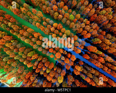 Aerial view of the Zhangdu Lake Wetland in Xinzhou District, Wuhan city, central China's Hubei province, 9 December 2018.   Tens of thousands of Chine Stock Photo